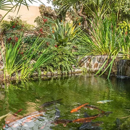 Las Palmas 5b Oasis Daire *